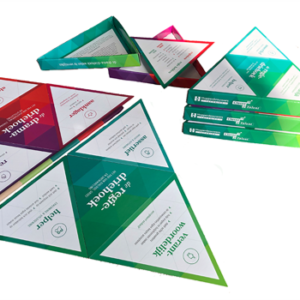 Toolbox regiegericht handelen